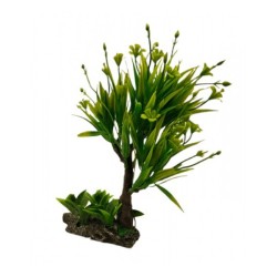 ΔΙΑΚΟΣΜΗΤΙΚΑ ΦΥΤΑ ΕΝΥΔΡΕΙΟΥ